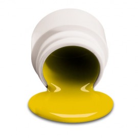 7730 - Caution (9.5GR)