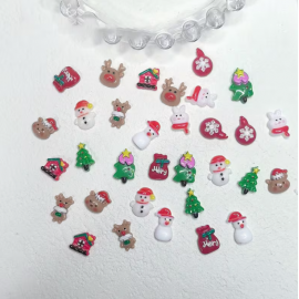 Tırnak Charm 12 Bölmeli